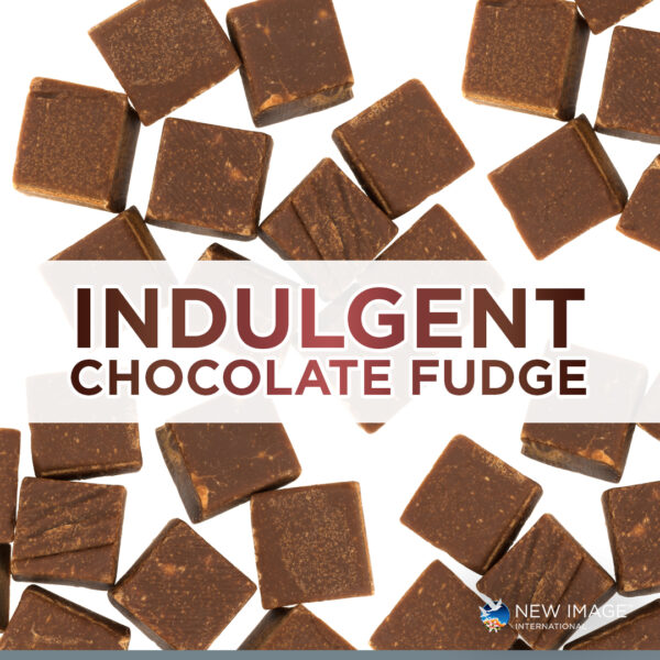 ShakeUp Chocolate Fudge 490g - Image 2
